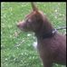 John Cameron - Facebook