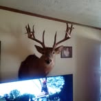 John Cantrell - Facebook