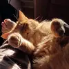 John Cantrell - @johnyc323 - TikTok