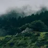 JohnCarlyle8087 - @johncarlyle8087 - TikTok