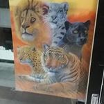 John Carmichael - @johncarmichael1454 - Instagram