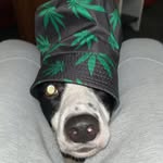 john Carmichael - @johncarmichael99 - Instagram