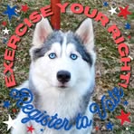 John Carr - Facebook