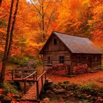 John Carr - Facebook