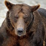 John Carr - @johnsnaturepictures - Instagram
