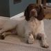 John Carson - Facebook