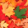 John Carty - @john.carty46 - TikTok