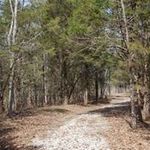 John Cary - @john.cary.5264 - Instagram