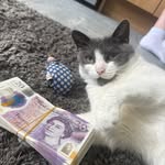 John Casey Moloney - @jc_moloney14 - Instagram