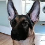 John Caskey - @john.caskey.9277 - Instagram