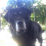 John Caskey - @jtncaskey - Instagram