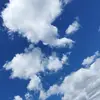 John castillo  - @johncastillo__ - TikTok