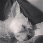 John M. Castleton - @johncastleton - Instagram