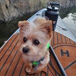 John Caudillo - @johncaudillo - Instagram