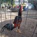 Juan Caudillo - Facebook