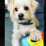 Cooper John Cavanaugh - @cooperjohnphotography - Instagram