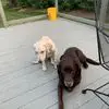 John Cavanaugh - @john.cavanaugh8 - TikTok