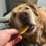 John Cavanaugh - @cavanaugh2188 - Instagram