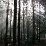 John Cavendish - @cavendishj - Instagram