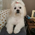 John Cavin - @john_cavin52 - Instagram