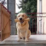 John Cavin - @johncavin55 - Instagram