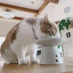 John Cavin - @johncavin2023 - Instagram