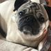 John Cybulski - Facebook