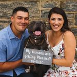 John Dicecco - @johndicecco4523 - Instagram