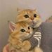 John Carlo Cedillo - Facebook
