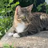 john - @john.cedillo - TikTok