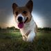 John Cerda - Facebook