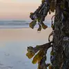 John Chadwick - @john.chadwick7 - TikTok