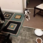 John Chalker - @chalker_john - Instagram