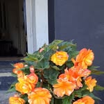 John Chalker - @john.chalker.963 - Instagram