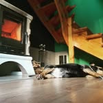 John Chamblee - @chamblee829 - Instagram