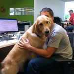 John Charest - @johnsharest - Instagram
