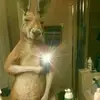 Johncharles - @johncharles1009 - TikTok