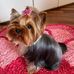 John chase - Facebook