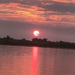 John Chase Safaris - @johnchasesafaris - Instagram