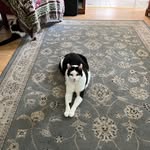John Chayka - @john_chayka60 - Instagram