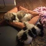 John Cheadle - Facebook