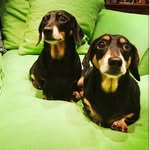 John Gilbert - @johncheadlehulme - Instagram