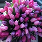 Michelle Goldman Gray - @johnchelle0430 - Instagram