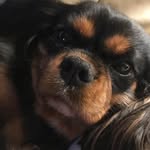 John Chenault - @chenault664 - Instagram