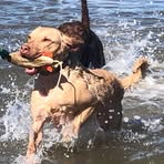 John Chenault - Facebook