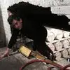 John Chesney - @john.chesney6 - TikTok