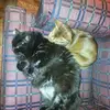John Mcchesney - @john.mcchesney7 - TikTok