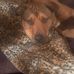 John Christoffersen - Facebook
