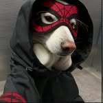 @John - @johnchungba10 - Instagram