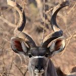 Michael John Claassen - @michaeljohnclaassen - Instagram